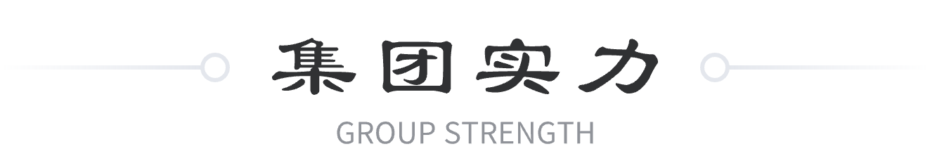集团实力