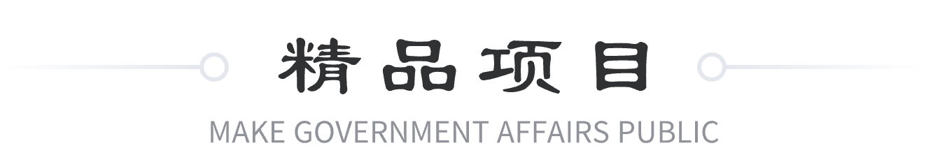 精品项目